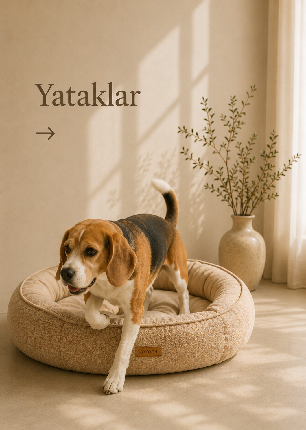 Yataklar