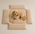 Skater Pups Lounge Yatak