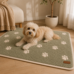 Paw Print Battaniye - Sage